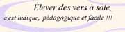 elever des vers à soie