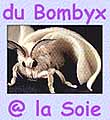 du bombyx @ la soie